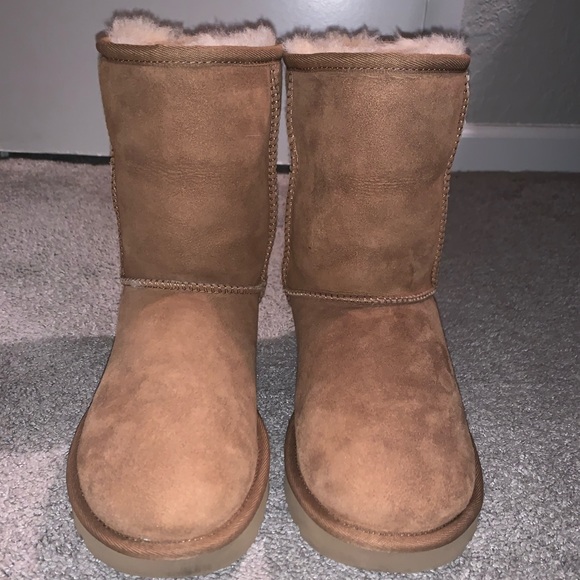 UGG Shoes - UGG Genuine Classic Short - Sz US 6 Women - Chestnut